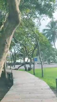 2.4K views · 166 reactions | ¡Descubre el mejor verano de todos en...