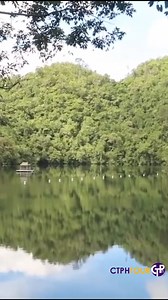 🌿 Escape the hustle and bustle of everyday life and discover the tranquil beauty of Poneas Lake on Siargao Island! 🏞️ Embark on a 30-minute hike to this hidden gem, where you can spot endangered species like the Horn Bill and Tarsier along the way. 🐦🌺 Each of the three islands surrounding the lake offers a unique experience, from untouched wilderness to cultural richness and thrilling adventures. 🌅 Don't miss out on this unforgettable getaway that promises moments of reflection, immersion, 
