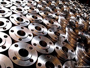 [Hot Item] Austenitic Stainless Steel Flanges S34779