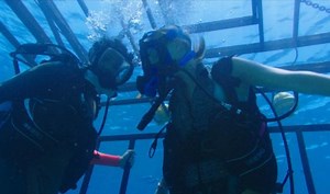 Filmkritik zu «47 Meters Down» (2017) ‒ Wenn du mal ganz unten bist...