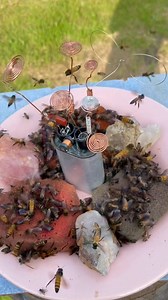 Sound bee healing 🐝🍃 | MineStone OnEarth