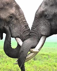 1K views · 58 reactions | Super interesting behaviour between two...