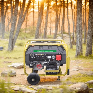 [Hot Item] 7.5kVA Portable Small Diesel Generator 4 Stroke Single Cylinder 220V Alternator