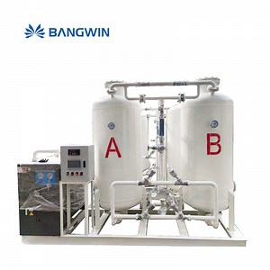 [Hot Item] Purity 93%-99.99% Factory Prices Psa Oxygen Generator Plant for Cylinders Filling