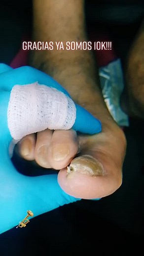 hector Alba on TikTok