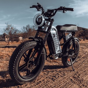 [Hot Item] Powerful 750W Electric Fat Bike with Hydraulic Disc Brake