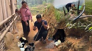 Create a cold shelter for newly hatched chicks, repair a generator | Family Farm Life | Family Farm Life