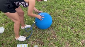 Herding Ball for Dogs and Horses, 18" Jolly Ball for Dogs, Dog Herding Balls for Australian Shepherd Collie, Durable Bite-Resistant with Reinforced Stitching, Medium Dog Toys Gifts CP0119