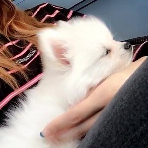 LE’s Instagram Update [20072018] https://www.instagram.com/x_xellybabyx/ EXID - LADY MV : https://youtu.be/Q1JiptOTxno ช่วยกันกรอกแบบสอบถามพา EXID มาไทยกันด้วยนะคะ https://goo.gl/o95Xm1 ช่วยกันกรอกร่วมกันแชร์แคมเปญของ Make ด้วยค่ะ อีกนิดเดียวเองจะครบแล้ว http://mmt.fans/jvPv | EXID Thailand