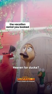 Sleep tight, don’t let the bed bugs bite. #MigrationMovie is only in theaters December 22. Get tickets now at https://buff.ly/32nrFPw | Lubbock Premiere LUX 16 IMAX & Pizza Pub