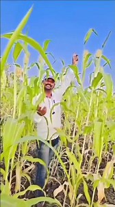 #viral #youtubeshorts छोडके तुमको किधर जाये 💕💕