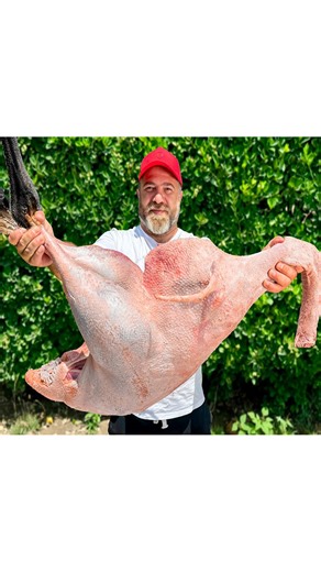 Cooking tasty whole huge ostrich in oven #reels #shorts #cooking #camping #survival #bushcraft #outdoors #primitive #food #recipe | Tasty Life