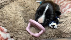 35K views · 2.3K reactions | Look who is starting to act like a...