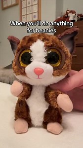 Beanies are our kryptonite! #beaniebabies #gimmebeanie #beanieboos | Ty