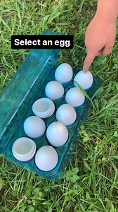 Outdoor Literacy Game  This game will help you continue to practice...