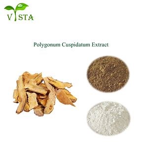 [Hot Item] 100% Pure Natural Giant Knotweed Extract 5: 1, 10: 1, 20: 1, 20%-99% Resveratrol Polygonum Cuspidatum Extract