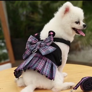 Dog Dress,Dog Harness and Leash Set,Puppy Cat Bunny Rabbit Clothes for Small Large Dogs Dresses