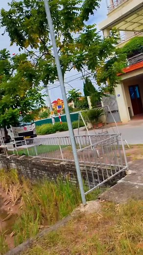 Chui gầm xe phi vào nhà ăn cái kết #falconry #falcon #vuinhon #hunting #facebookviral | Phạm Tuyền