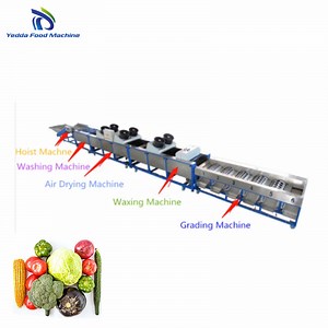 [Hot Item] Apple Washing Line with Automated Sorting