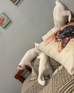 1.9K views · 167 reactions | Luckily the wrestling didn’t start until...