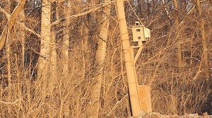 Photofixation Speeding Radar On Road: Stockvideos & Filmmaterial (100 % lizenzfrei) 3180208 | Shutterstock