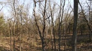 The peace and quiet of a Missouri state park. Find your quiet, this weekend. Find a park near you at https://mostateparks.com/find-a-park. #GetOutside #AdventureAwaits | Missouri State Parks