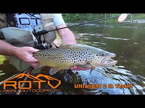 GIANT BROWN TROUT on 2 lb Test - Ultralight Tackle