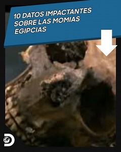 2.7K views · 107 reactions | Explora la fascinante historia de las momias egipcias y descubre datos impresionantes sobre su autopsia | Discovery Latinoamérica | Facebook