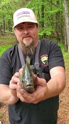 Pond Management FOR GIANT SHELLCRACKERS