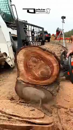 Versatile Cutting - Husqvarna 545 Chainsaw 50CC @RafterERanch #shorts #husqvarna #chainsaw | McKenziee