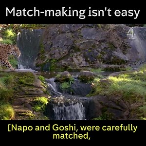 Think you have dating issues?... | Channel 4