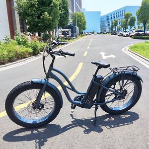[Hot Item] Fast Delivery Lithium Battery 48V 20ah Rack Fat Tire 26 Inch 500W Electric Power Bike