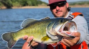 12K views · 106 reactions | In this episode, I'm fishing the Brazos River looking for GIANT bass and striper. This river is GORGEOUS, and the fishing is as hot as Texas summer days. COMMENT BELOW and tell me your favorite river to fish! Or tell me what other baits you might've tried this day! This video is #sponsored by Mystery Tackle Box | Field Trips with Robert Field | Facebook