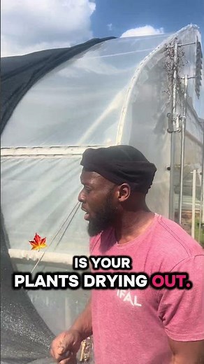 How we stay cool 🕶️ #gardening #growyourownfood