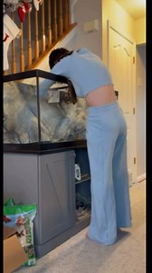 79K views · 427 reactions | Diy ✂️cut✂️ | Aquadecor | Facebook