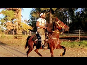SPEED RACKING and PACING STANDARDBRED RACING !!!