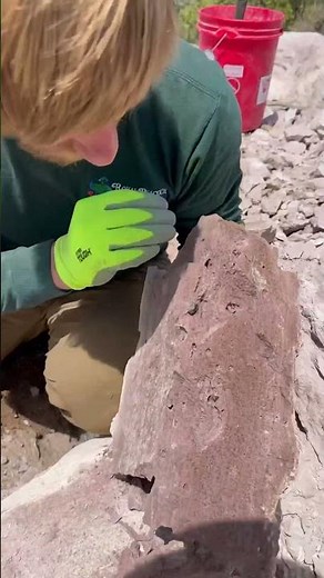 You can find rare gems for free!! Ely Nevada 🏔️