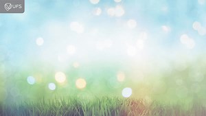 Spring has sprung! 🌼🌻 #HappySpring | #SpringDay | #Spring2022 | University of the Free State