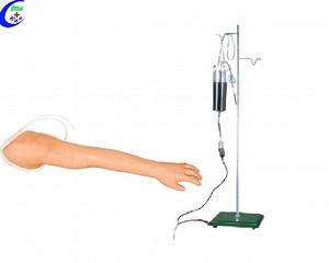 [Hot Item] Medical Simulation Training Manikins Nursing Injection Model