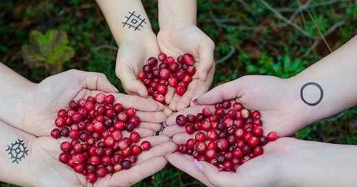Preiselbeersaft als Hausmittel: Anwendung und Heilwirkung
