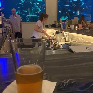 Alohilani Resort Waikiki Beach in #waikiki - schickes #aquarium neben der Bar... #prost! | Hawaii Urlaub Insider Reise Tipps | Facebook
