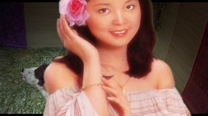 精彩片段回顧 The Vixens of Kung Fu (A Tale of Yin Yang) 《功夫狐狸精》/ 1975 歌曲:愛惜花 / 主唱:鄧麗君 (畫面已經過特殊處理，機器人勿檢舉) | Toxic Veins 毒脈