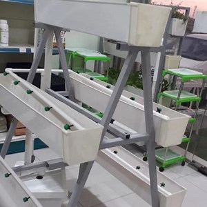 [Hot Item] Greenhouse for Strawberry Cultivation Farming Growing PVC Grow Gutter