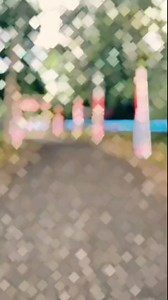 Indonesia merah darahku Putih tulang ku #indonesiaraya #indonesiamerdeka #ayahdelmi | Delmi Wardi