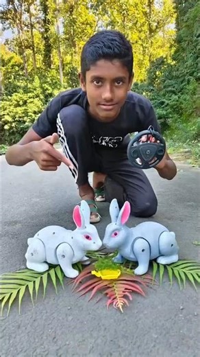 two remote control rabbit unboxing and review testing