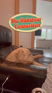 4.7K views · 67 reactions | The Rainbow Connection -The Carpenters by #sarahleeentertainer #therainbowconnection #thecarpenters #KarenCarpenter #Carpenters | Sarah Lee - Entertainer | Facebook