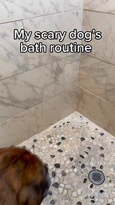 683K views · 20K reactions | Do you think Bridget enjoyed it? Our scary girl sheds enough to knit a second Bridget and somehow gets stinky after doing absolutely nothing. Thankfully @earthrated works like magic. Their shampoo keeps her smelling fresh between everything baths and actually works on heavy shedders so our house isn’t wearing a fur coat. Find it in our Amazon storefront #earthratedpartner #dogbath #doggrooming #asmr #englishmastiff | Thegoodhype | Facebook