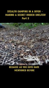 Stealth Camping in a Ditch - Making a Secret Hidden Shelter!@WildBeare #foryou #campinglife #survival #fyp | WildBeare