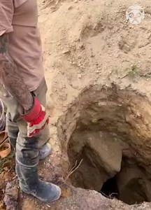 533K views · 643 reactions | Digging 3 meters to find a meteorite Partner: meteoritehunting | Crafty School | Facebook