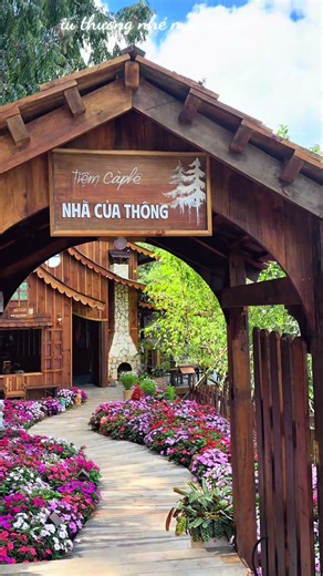 My linh vo trên TikTok